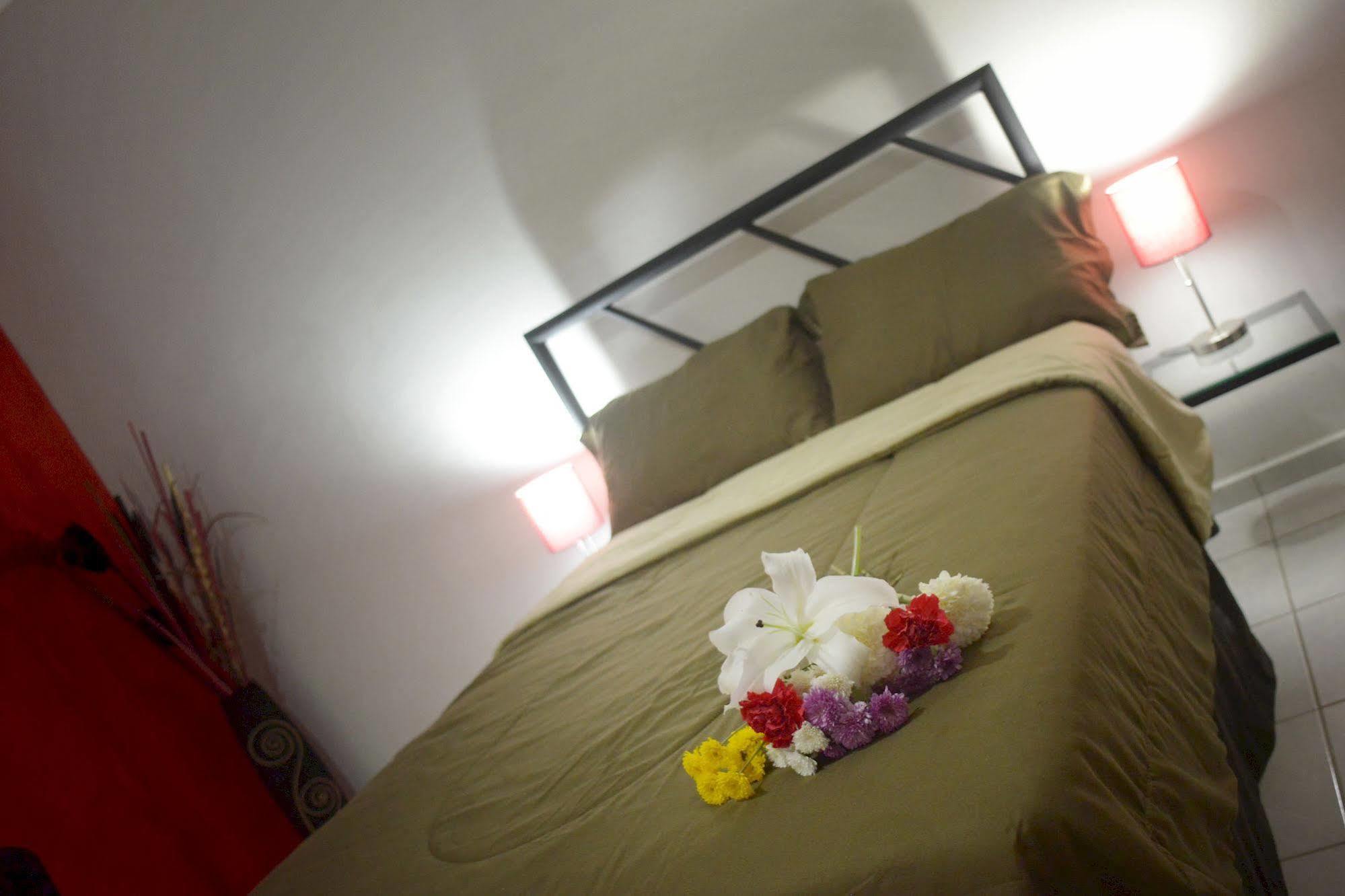 Hotel Plaza Providencia Ixtapa  Экстерьер фото