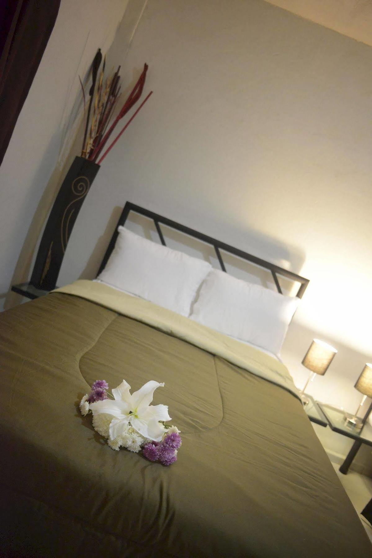 Hotel Plaza Providencia Ixtapa  Экстерьер фото