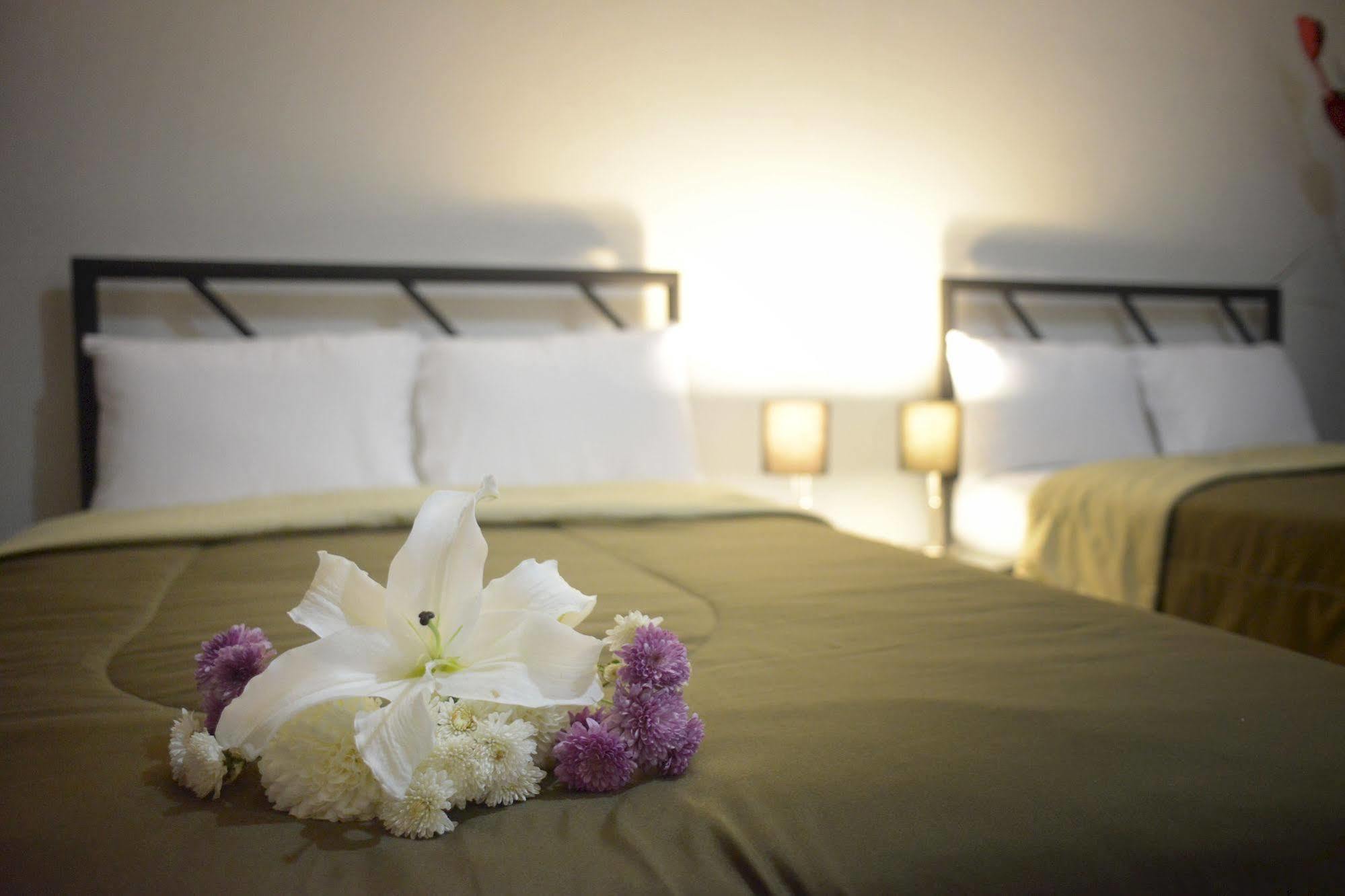 Hotel Plaza Providencia Ixtapa  Экстерьер фото